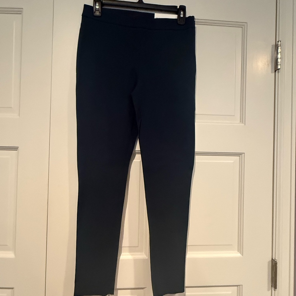 Ann Taylor Skinny-Leg Pants (Blue/Green)